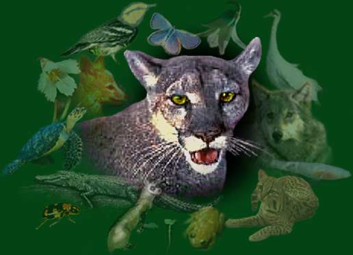 Threatened Species Recovery Network Splash Page